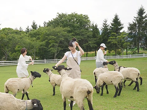 動物のおやつ