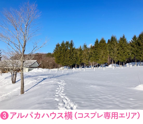 ➌アルパカハウス横（コスプレ専用エリア） 